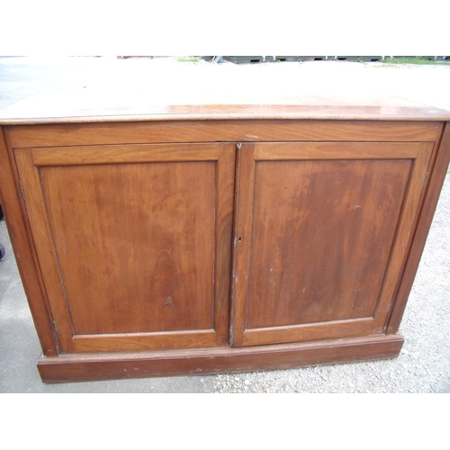 360 - Late Victorian mahogany side cabinet enclosed by two panelled doors with adjustable shelved interior... 