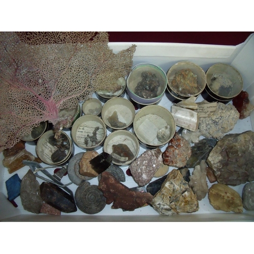 67 - Collection of Victorian and Edwardian natural history specimens, minerals, fossils etc including fan... 