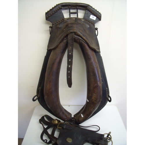 34 - Heavy horse harness collar and bridle with brass mounts (2)