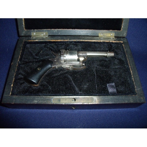 123 - Small mahogany cased Belgian six shot pin fire revolver with folding trigger, 2 1/4 inch octagonal b... 