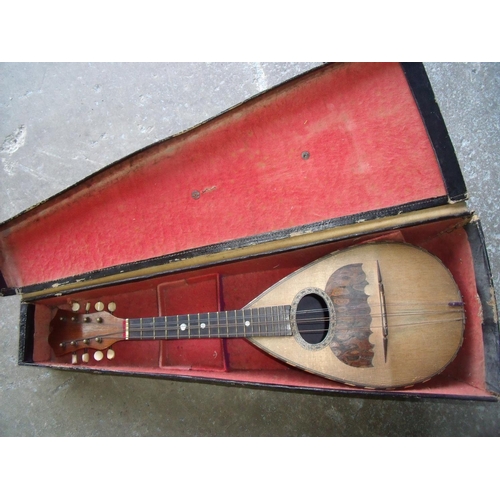 16 - Cased rosewood five string mandolin