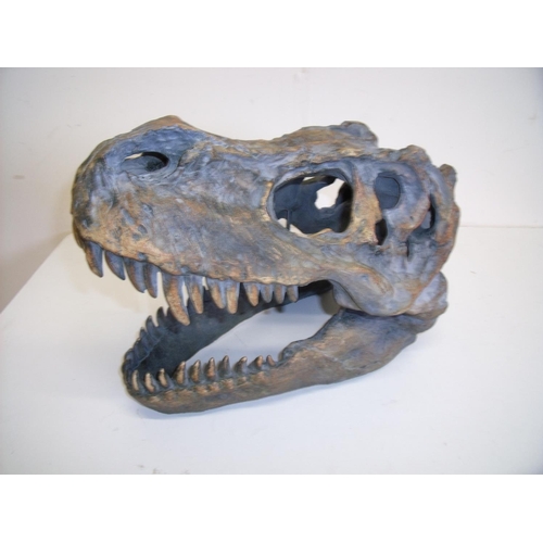 50 - Composite wall mounted figure of a T-rex dinosaur skull