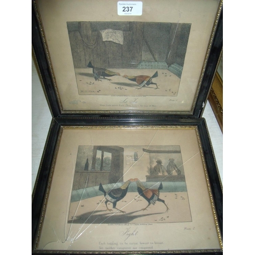 237 - Two 19th C prints of cock fighting, plates 1 & 2, after H Alken