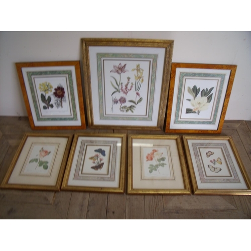 102 - Selection of various framed and mounted botanical type prints including two of butterflies (7)