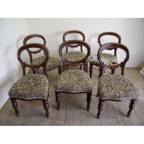 280 - Set of six Victorian mahogany balloon back dining chairs on turned supports with upholstered seats
