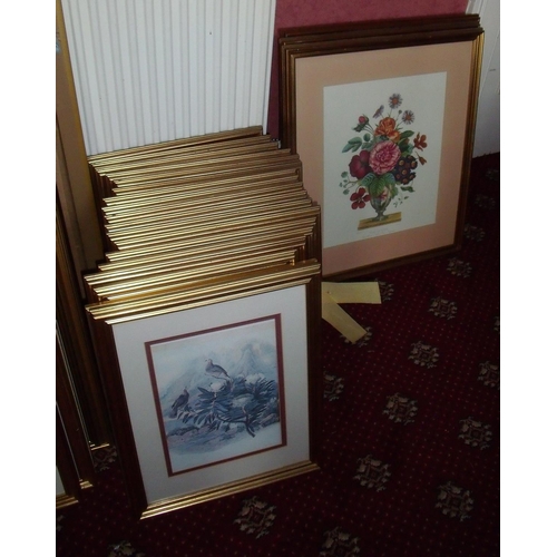 119a - Eighteen bird prints and three botanical prints (21)