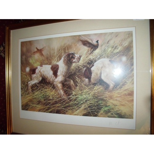 95 - Framed and mounted signed Mick Cawston No 149/850 depicting spaniels & pheasants and another similar... 