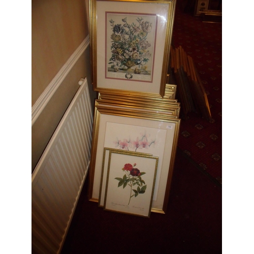 112 - Collection of twenty one framed and mounted botanical type prints