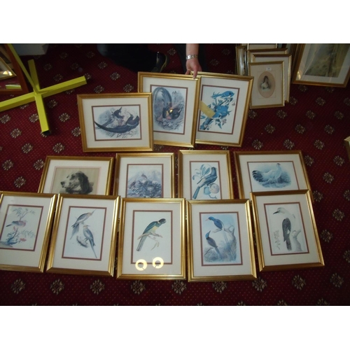 119a - Eighteen bird prints and three botanical prints (21)