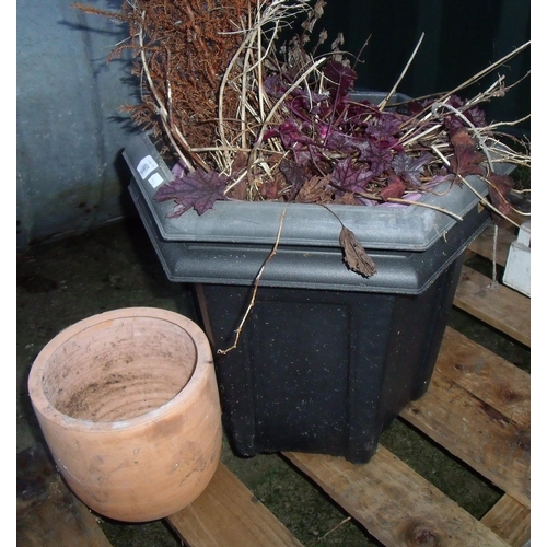 101 - Two plastic plant containers and a small terracotta plant pot