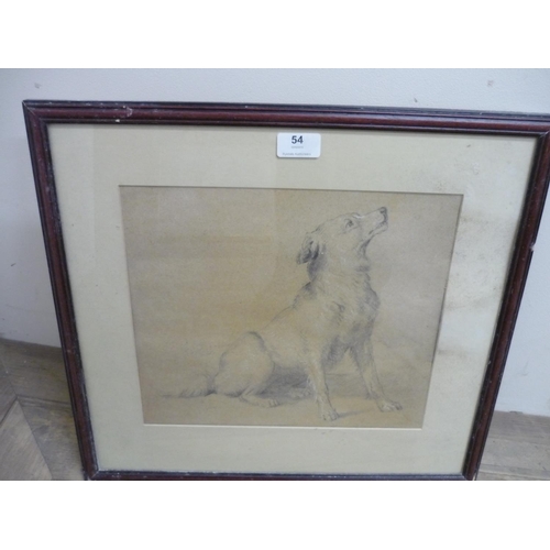 54 - 19th C drawing, heightened in white, of a seated dog