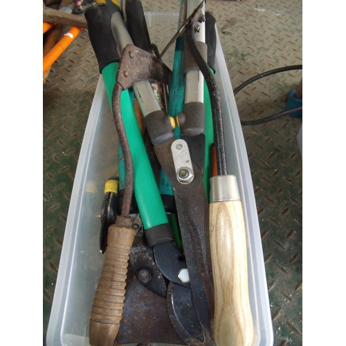 12 - Small plastic box containing a selection of various gardening type tools