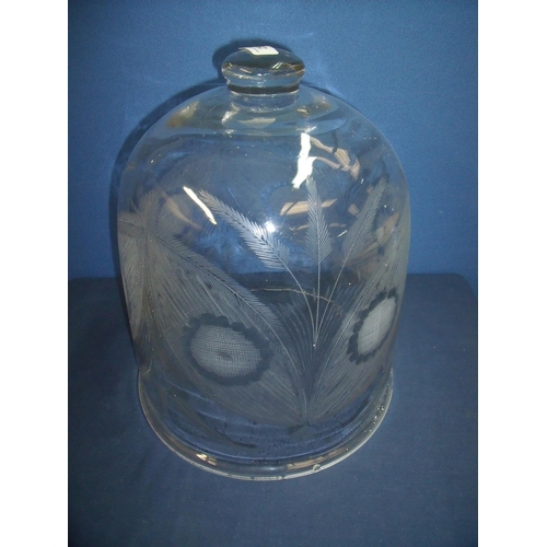 29 - Large 19th C glass dome with etched wheatsheaf and floral detail (35cm x 30cm) (minor chips to the r... 