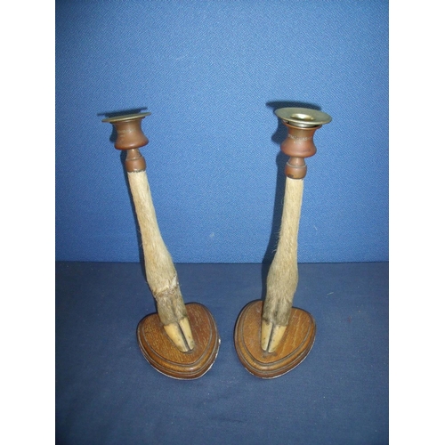90 - Pair of candlesticks made from deer's feet on oak mounts inscribed 