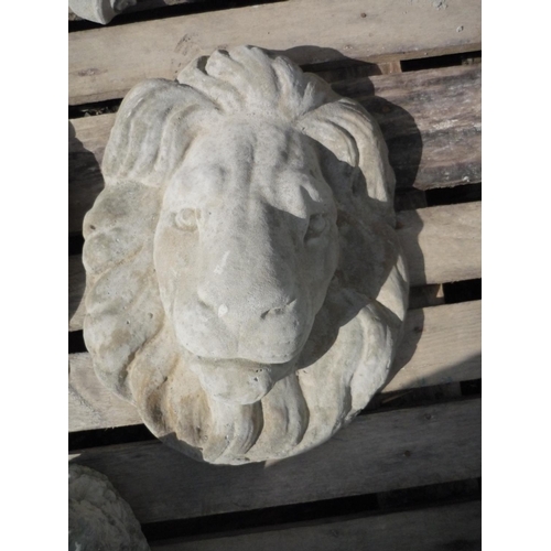 3 - Lion mask