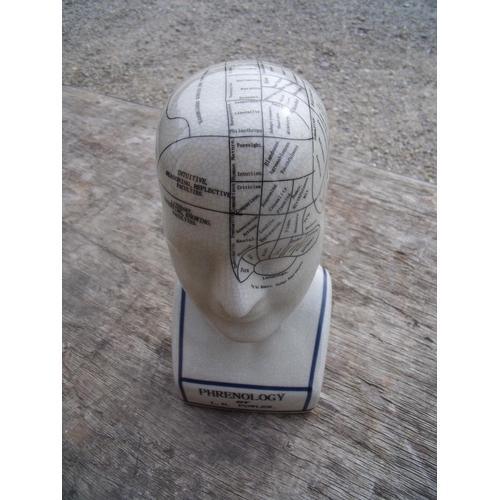 31 - Small reproduction ceramic Phrenology head (24cm high)