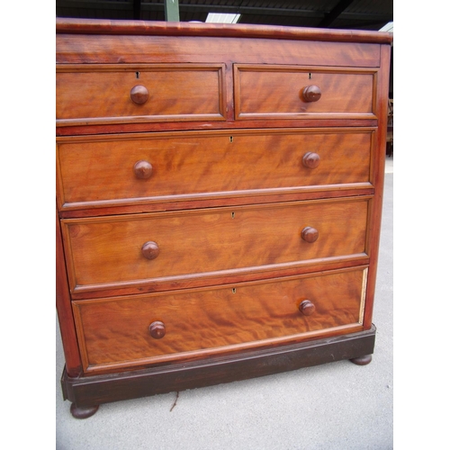 424 - Victorian mahogany chest of two short above three long drawers, on bun feet (115cm x 50cm x 118cm)