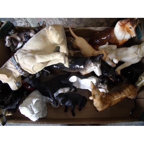 51 - Box containing a large quantity of various decorative dog figures
