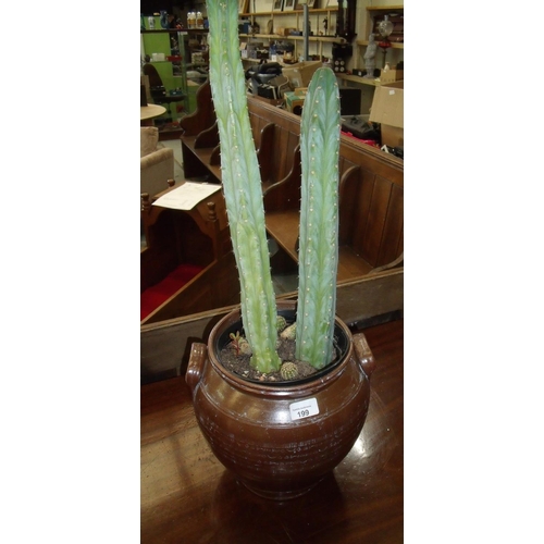 199 - Earthenware twin handled pot with cactus plant