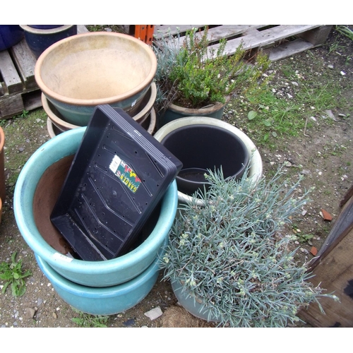 123 - Selection of coloured ceramic pots with two planted up