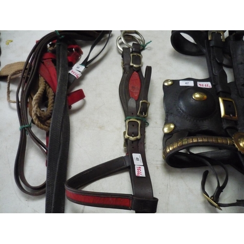 48 - Bridle with snaffle bit, Two pairs of reins and head collar