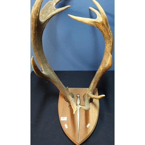 64 - Pair of deer antler mounted on wooden shield with inset steel dagger