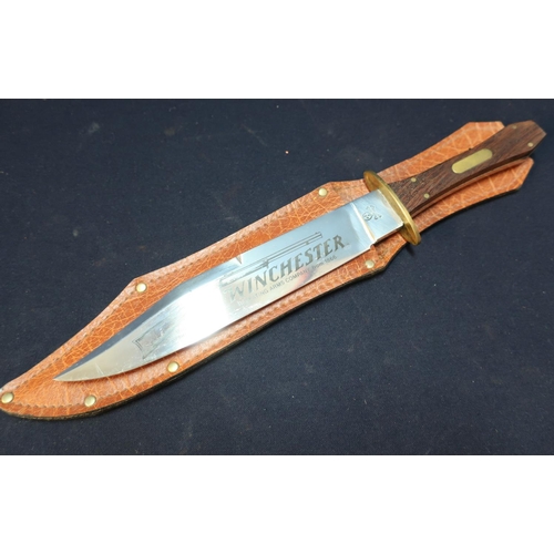 167 - Winchester advertising Bowie type knife with 8 1/2 inch blade stamped with skull and bones, and engr... 