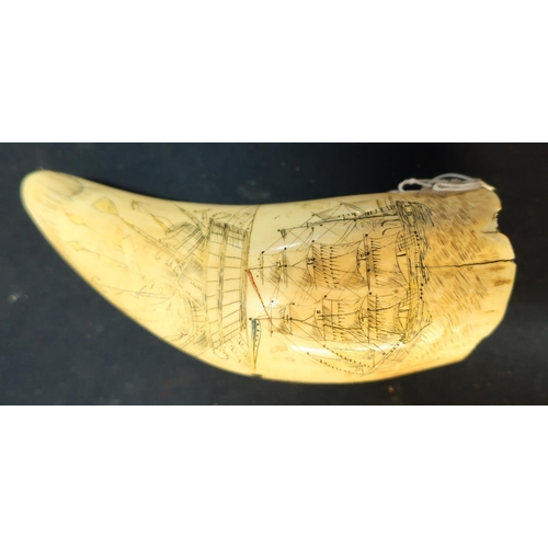 235 - Scrimshaw whales tooth of American interest, scrimed with various figures including American eagle, ... 