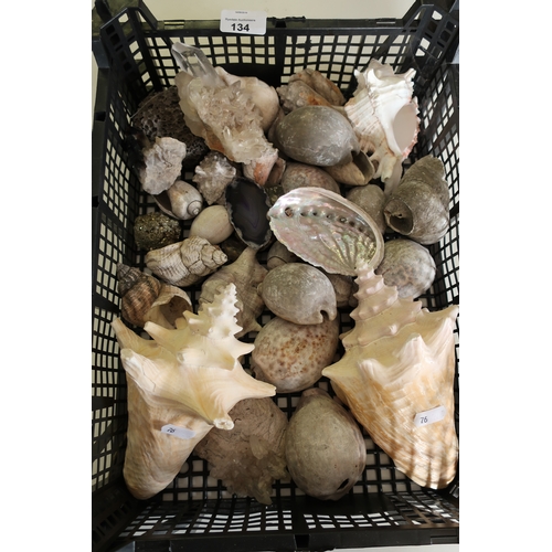 144 - Quantity of various assorted shells, minerals etc