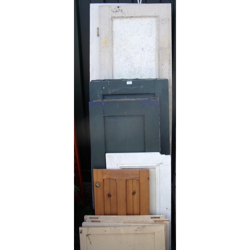 141 - Collection of doors of various sizes and styles