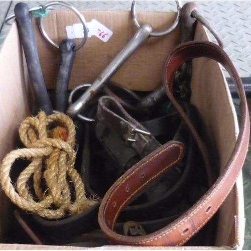 26 - Box containing horse leathers, including bits of various styles and lunging rope