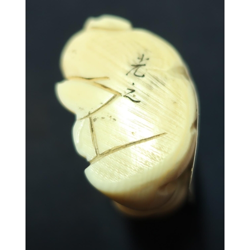 36 - Edo period Japanese carved ivory Netsuke of three crappling Buddha's with signature to the base (hei... 
