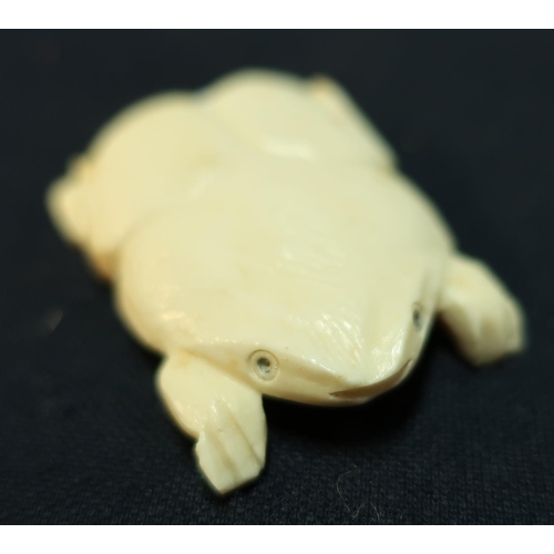 37 - Japanese carved ivory figure of a flattened frog