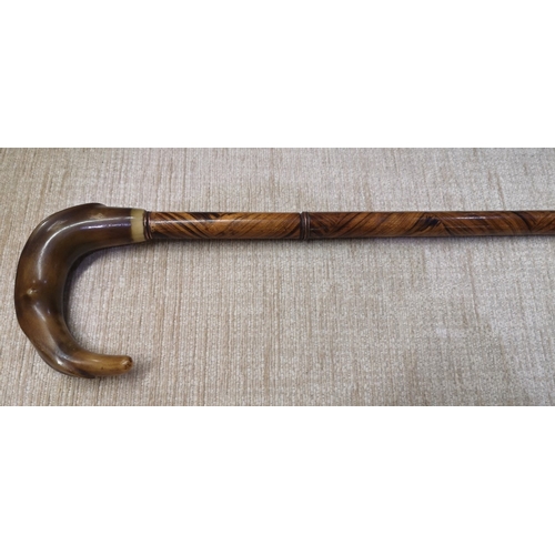 15b - Walking cane with unusual horn handle