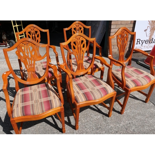 212 - Five yew Hepplewhite carver chairs with shield shaped backs, pierced splat with carved Fleur-de-lis ... 