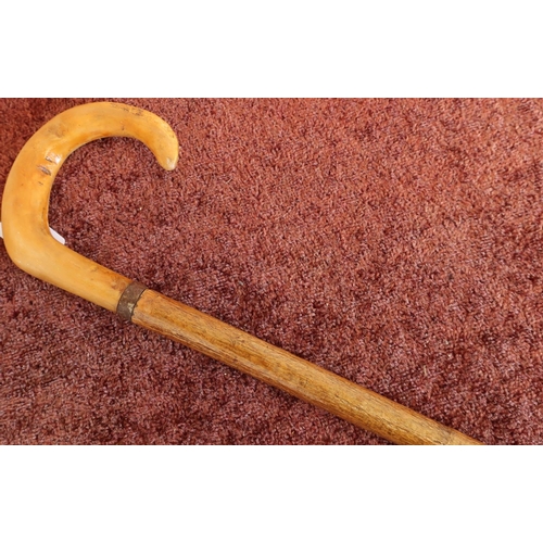 34 - Walking stick with a horn handle