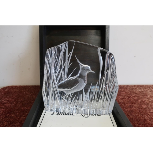 1 - Boxed Royal Krona Sweden Limited Edition RSPB No 61/975 crystal sculpture of a Lapwing (19cm high)