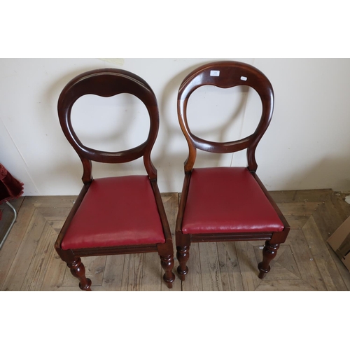 134 - Pair of Victorian mahogany balloon back dining chairs on turned supports