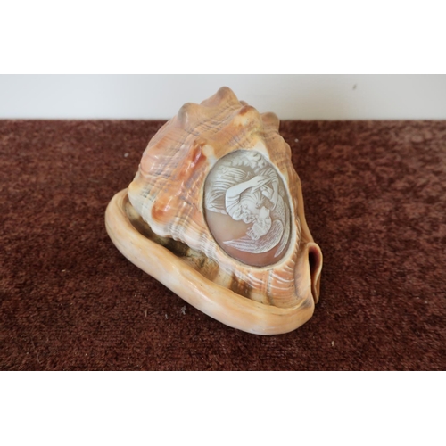 315 - Victorian carved cameo seashell, the panel carved into the full body of a shell depicting classical ... 