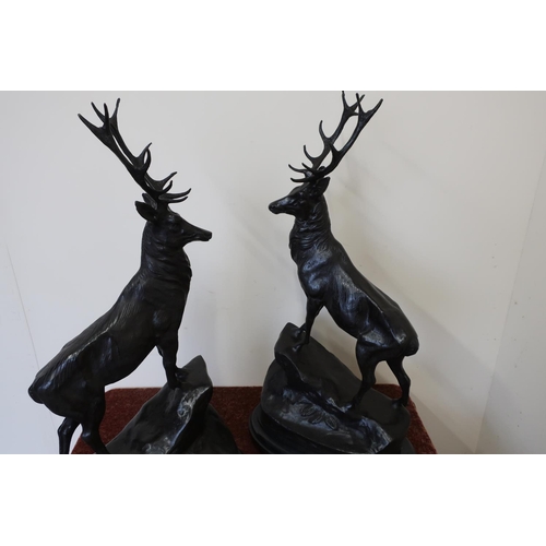 319 - Pair of bronze stags on rocky outcrops mounted on stepped oval marble bases (74cm high)