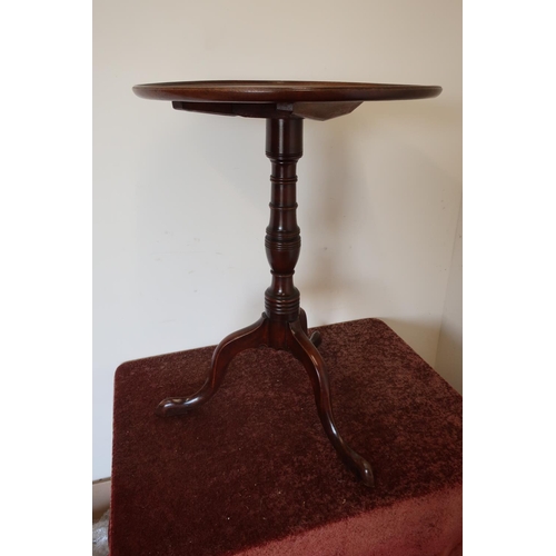 337 - 19th C mahogany circular top tripod table on turned column (diameter 50cm)