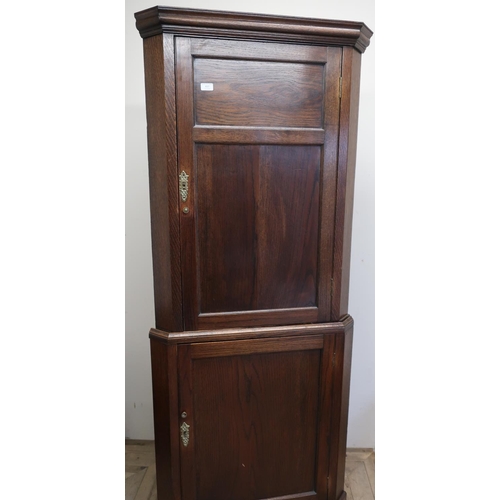 437 - Oak free standing corner cupboard with upper panelled cupboard door above further panelled door to t... 