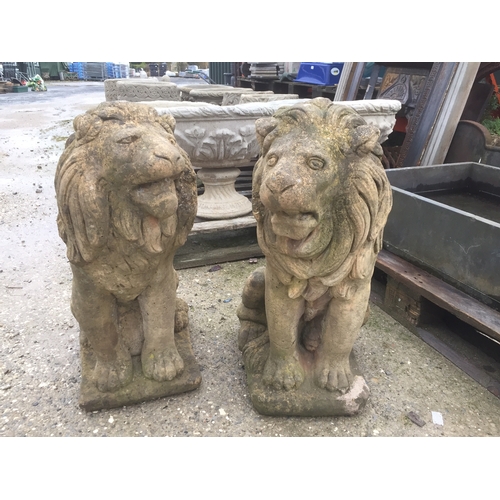 138 - Pair of apposing concrete well weathered sitting lions