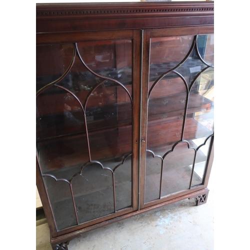 140 - Quality early- mid 20th C mahogany shelved cabinet with four adjustable shelves enclosed by two glaz... 