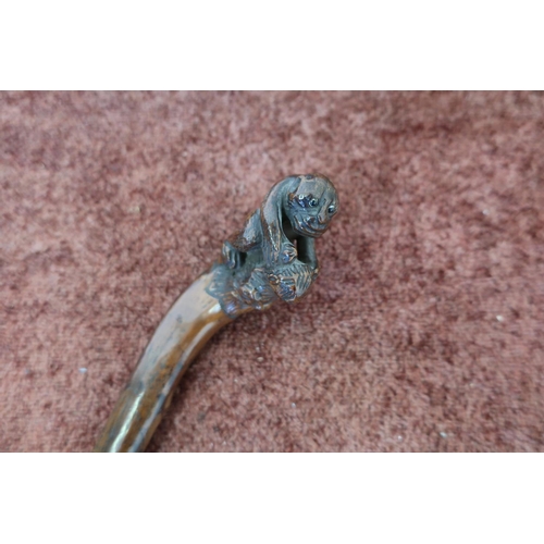 15 - 19th C Folk Art carved briarwood walking stick, the handle in the form of a monkey with inset glass ... 