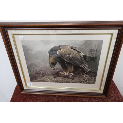 70 - Framed and mounted auto type coloured Archibald Foreman print of bird of prey with prey (65cm x 50cm... 