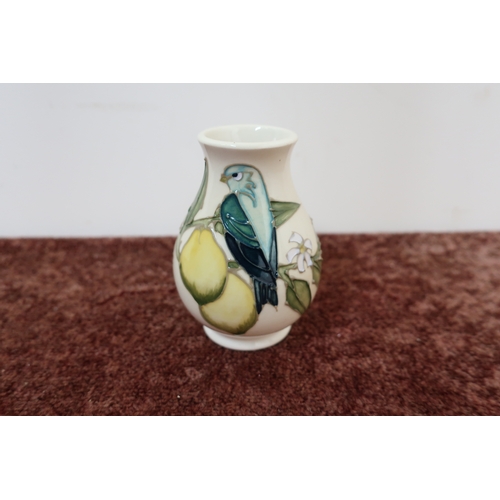 172 - Small Moorcroft lemon tree pattern vase with figure of a bird on branch (height 10cm)