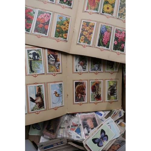 493 - Large selection of various cigarette cards including albums of Park Drive cards and a postcard album... 