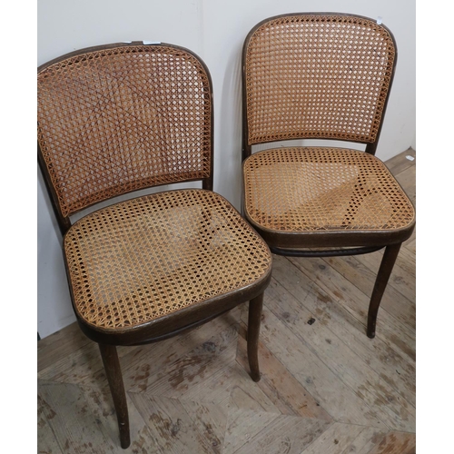 55 - Pair of Bentwood style chairs with cane seats and backs