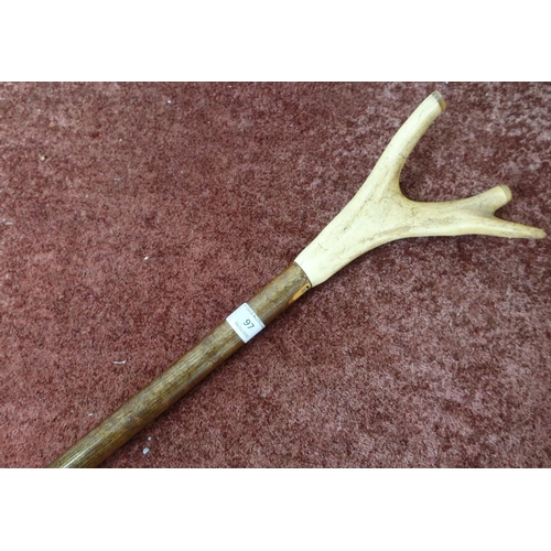 97 - Antler topped Shepard's style crook stick